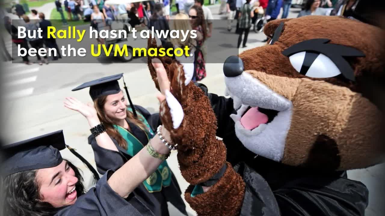Uvm Rally 2017: Fundraising begins for UVM Catamount statue in Burlington