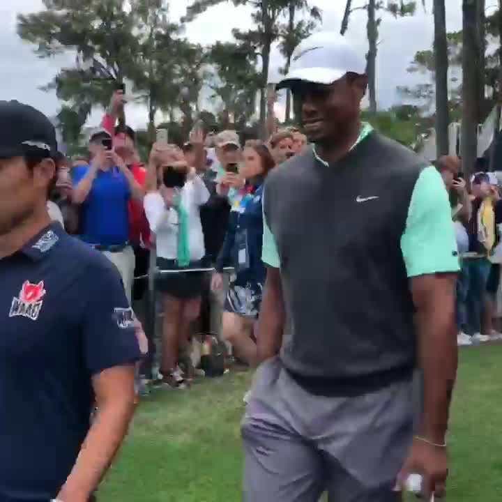Tiger Woods Backwards Hat Meme