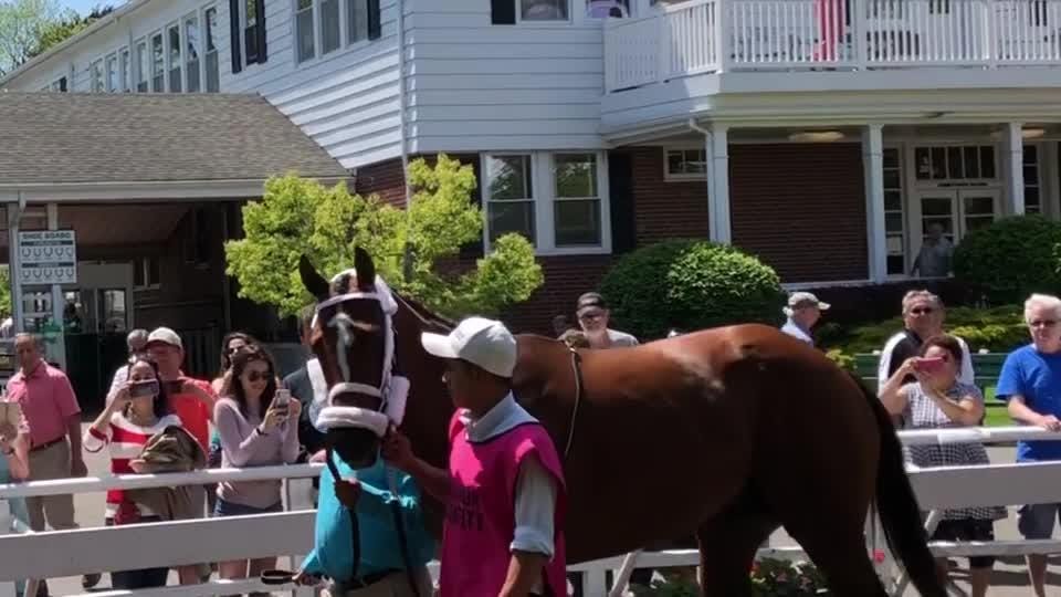 Maximum Security parades for fans at Monmouth Park; likely to work out ...