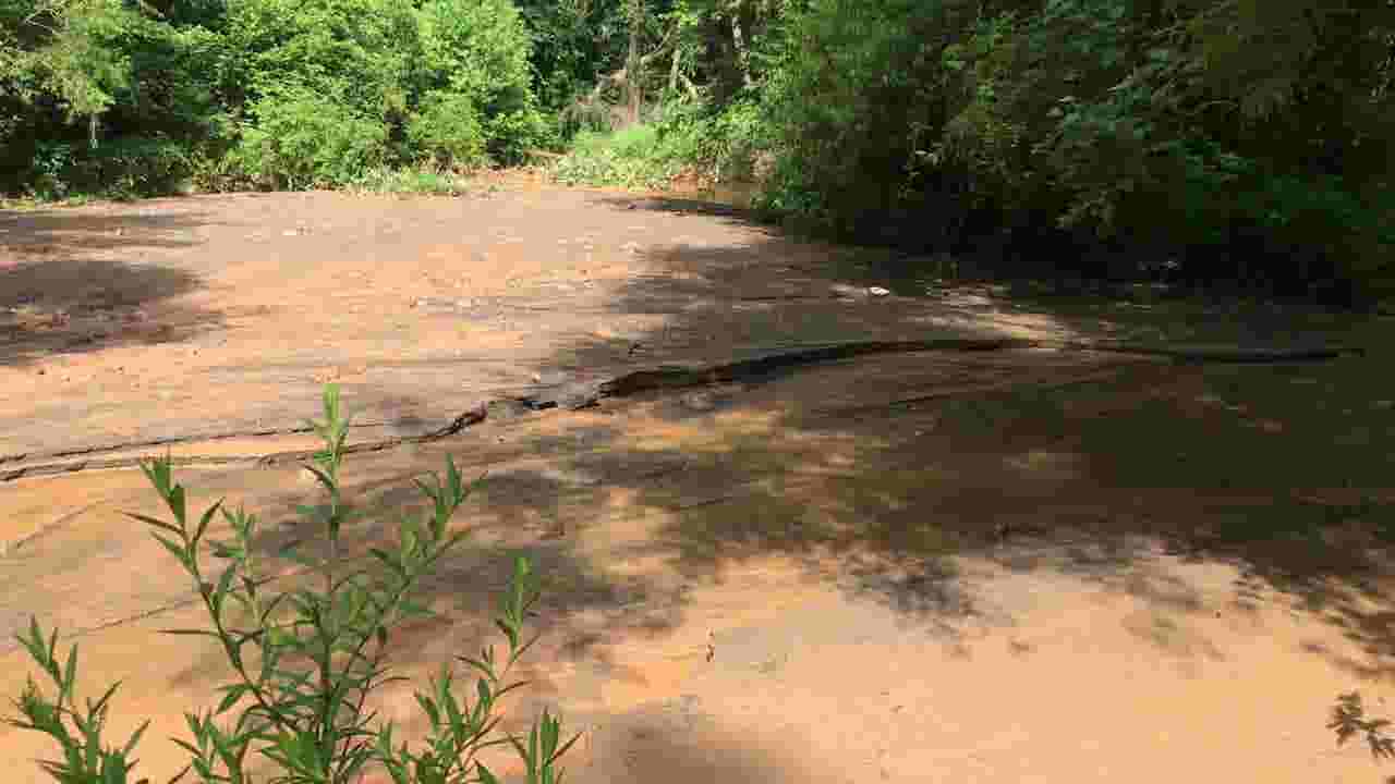 Beaver Lake Bird Sanctuary Inundated With Sediment